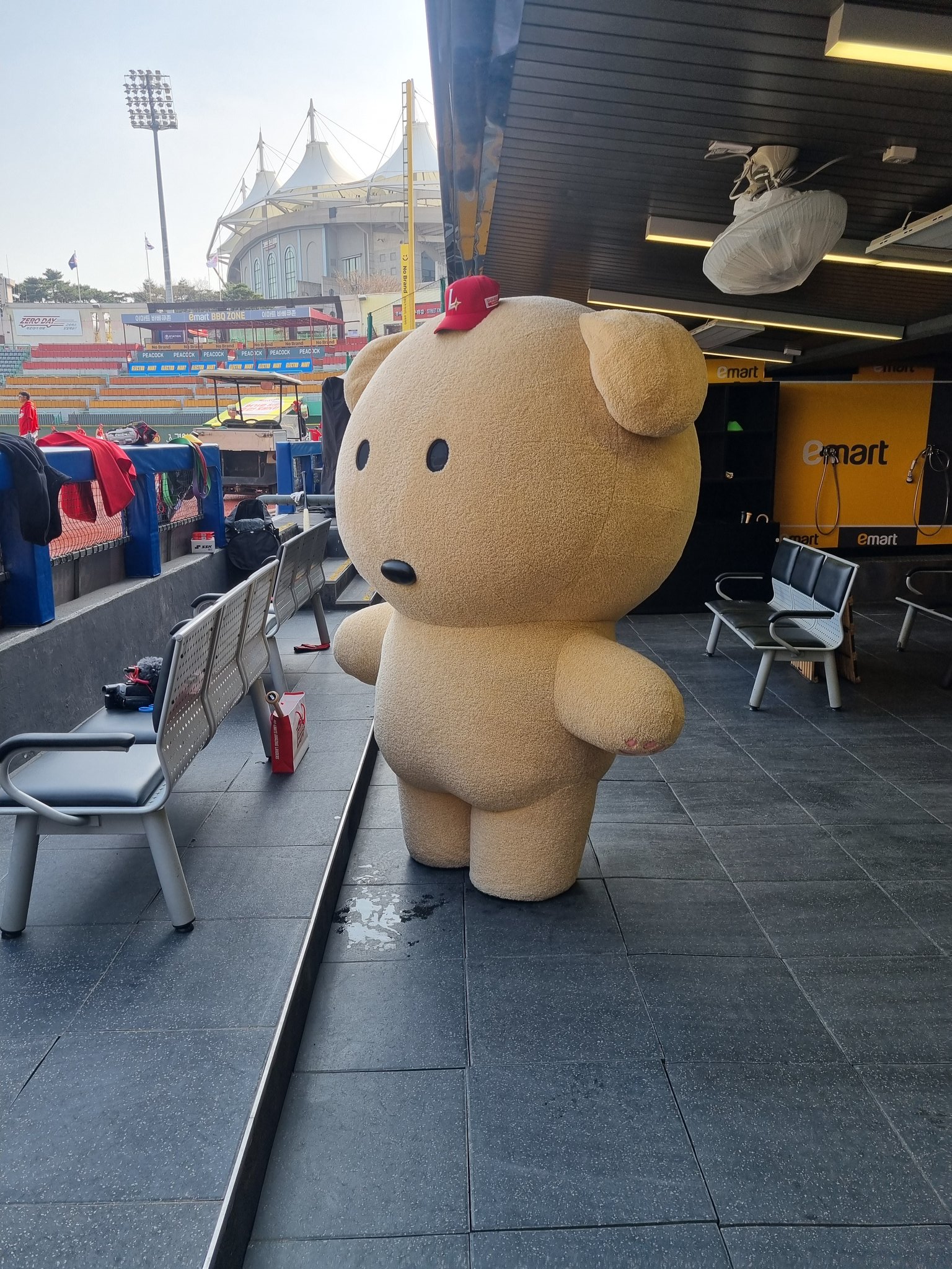 SSG랜더스와 콜라보한 깜자 인형탈 | 인스티즈