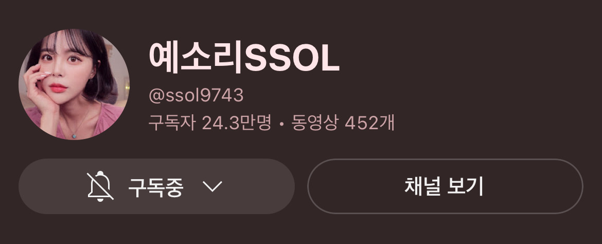 산불피해 기부한 여성유튜버들 (뽐니, 예소리, 최모나) | 인스티즈