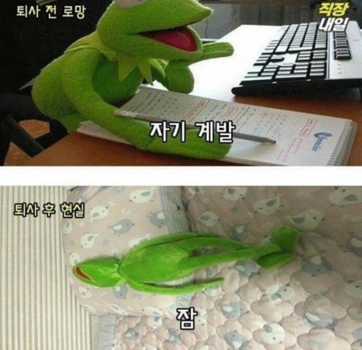  퇴사전과 후의 현실
