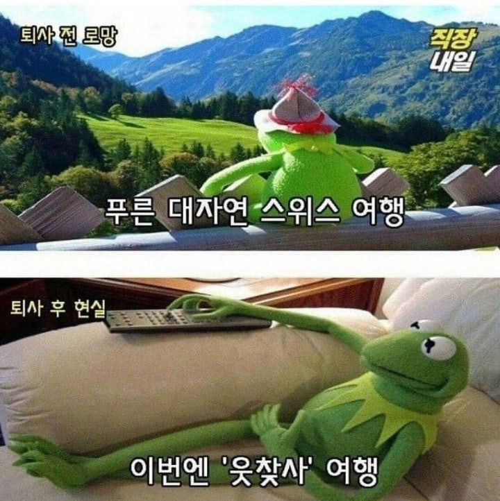 퇴사전과 후의 현실 | 인스티즈