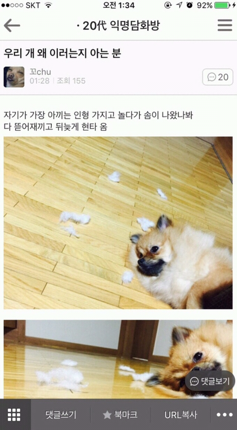 치과쌤이 나보고 엄살 하나도 없대 아픈거 잘 참는대 | 인스티즈