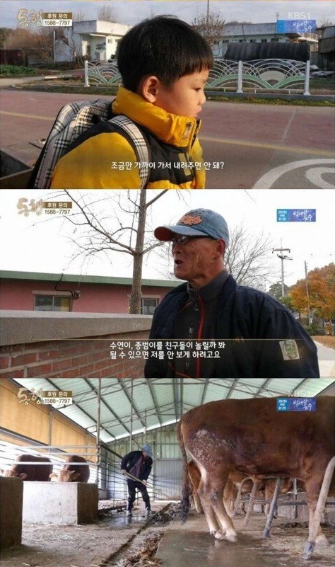 4년전 방송 되었던 뇌성마비 아버지와 9살 딸.. 근황 | 인스티즈
