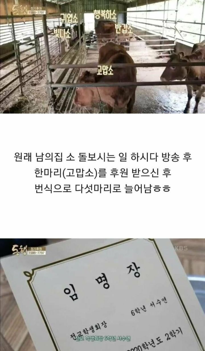 4년전 방송 되었던 뇌성마비 아버지와 9살 딸.. 근황 | 인스티즈