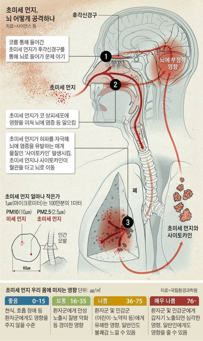  초미세 먼지, 뇌 어떻게 공격하나
