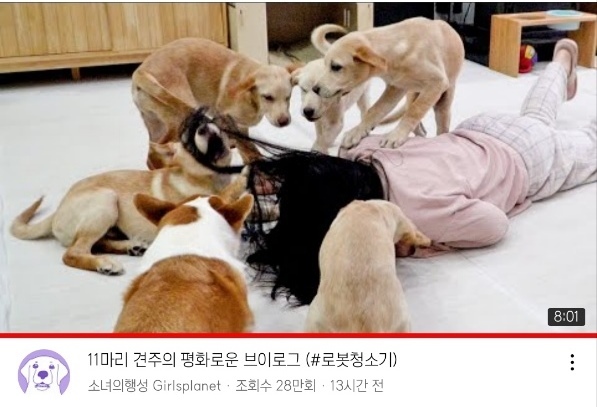 [소녀의행성] 개린이 7마리를 데리고 산다는건