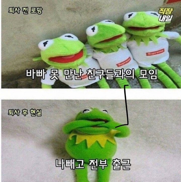 퇴사전과 후의 현실 | 인스티즈