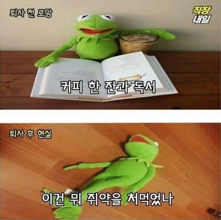 퇴사전과 후의 현실 | 인스티즈