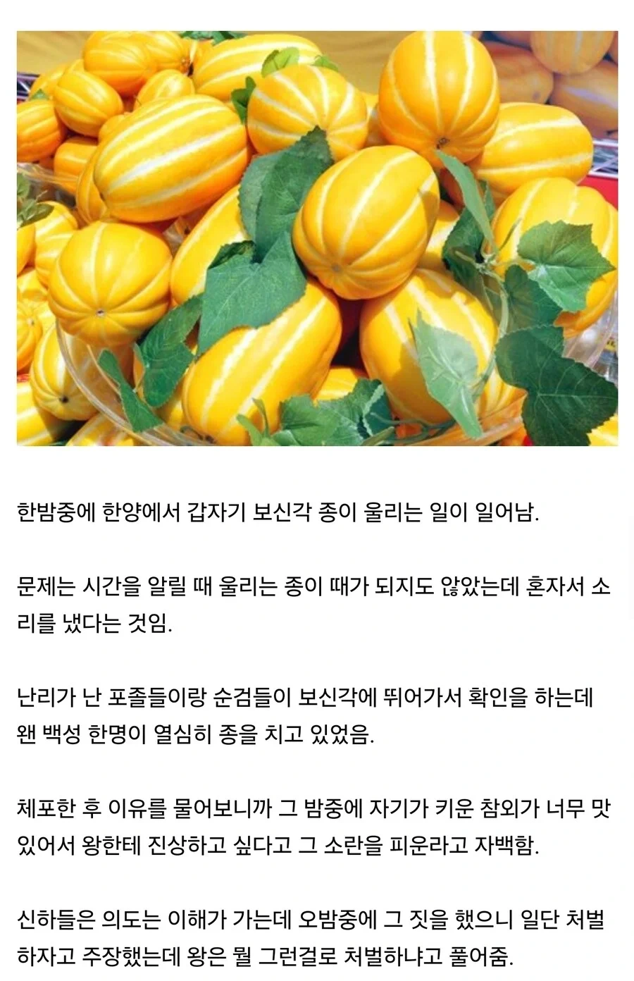  한양 참외 당도 최고!!!