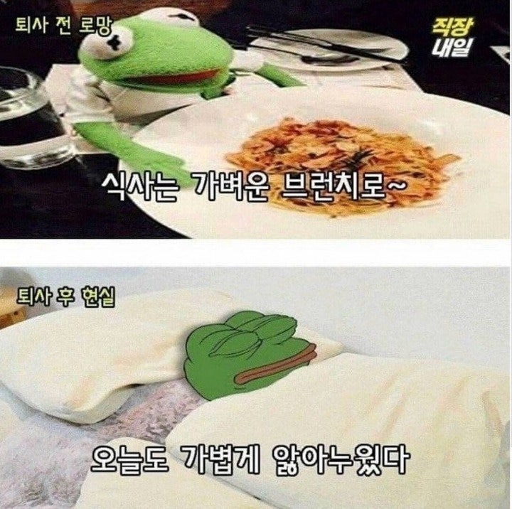 퇴사전과 후의 현실 | 인스티즈