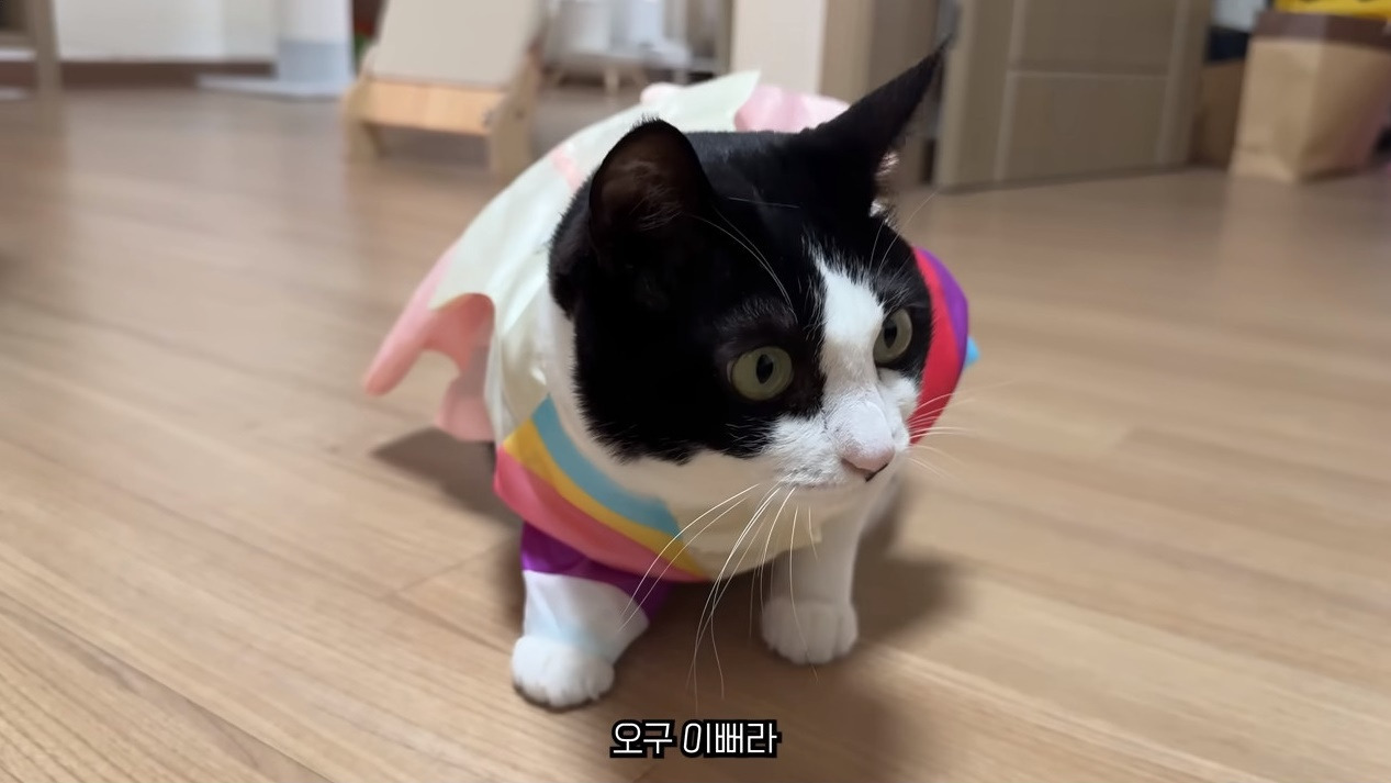 춘봉이랑 첨지 산불피해 기부 | 인스티즈