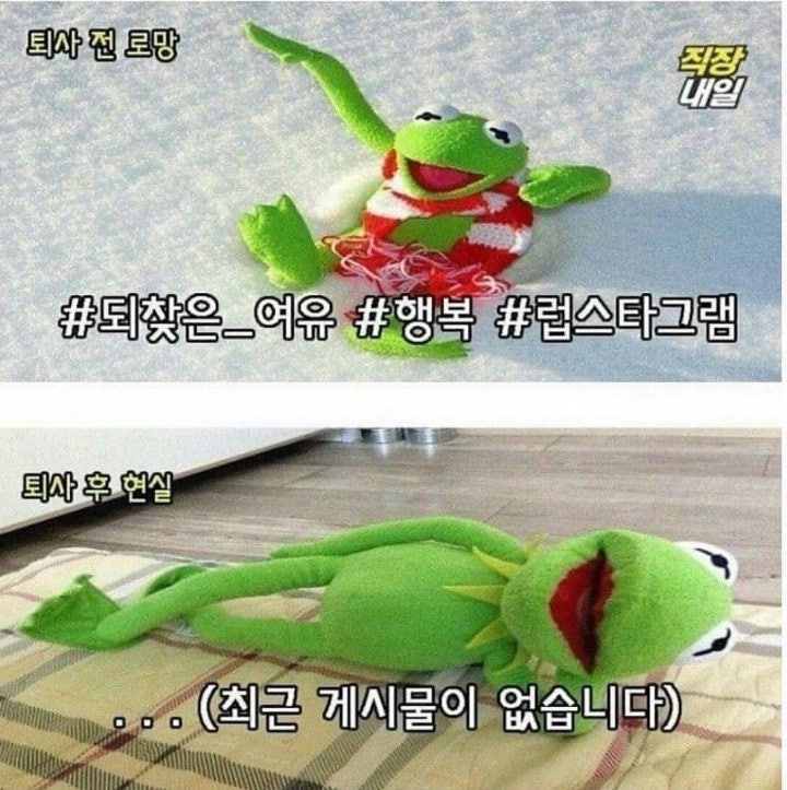 퇴사전과 후의 현실 | 인스티즈