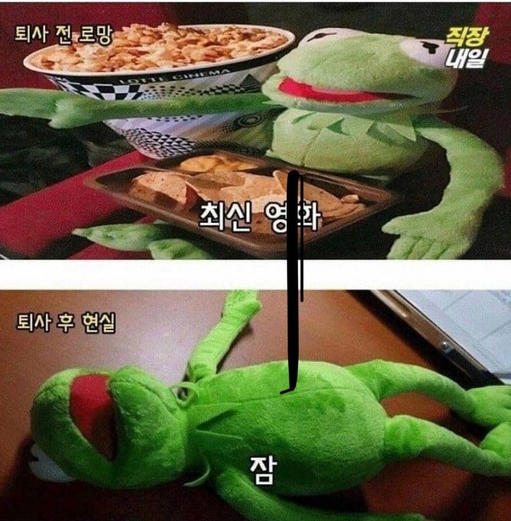 퇴사전과 후의 현실 | 인스티즈