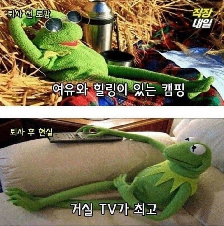 퇴사전과 후의 현실 | 인스티즈
