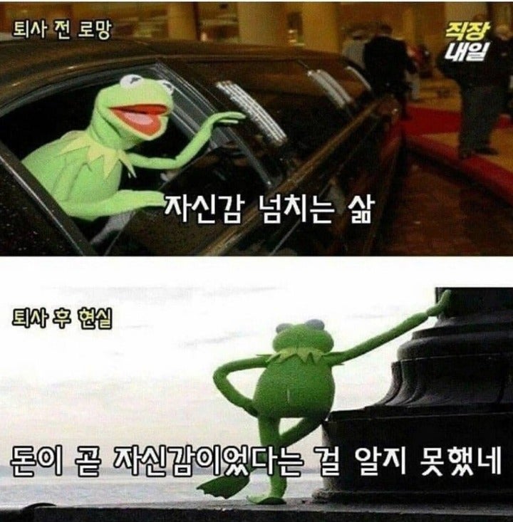퇴사전과 후의 현실 | 인스티즈