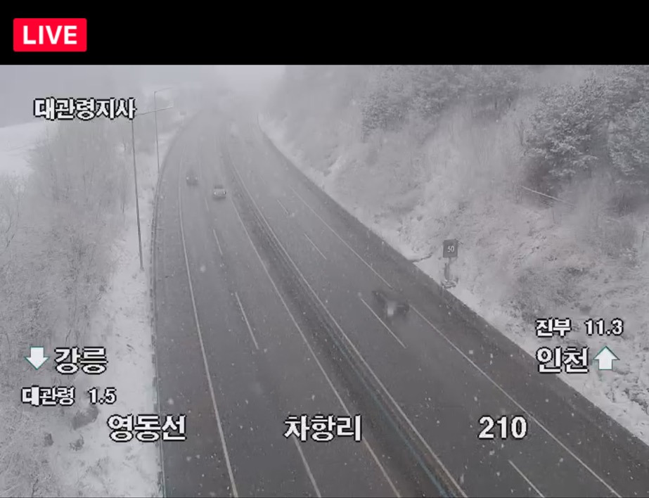 현재 대설주의보 내려진 강원 산지