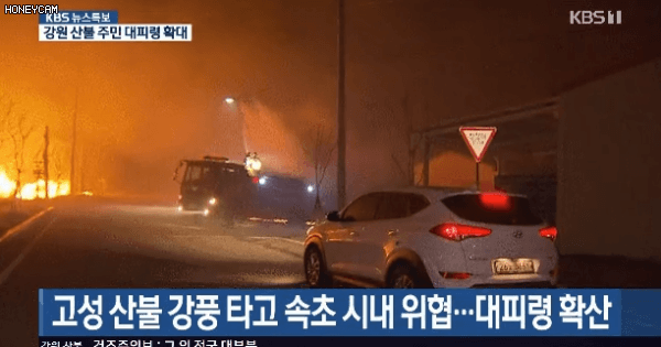 없던 국뽕도 생겼던 2019년 사건 .jpgif | 인스티즈