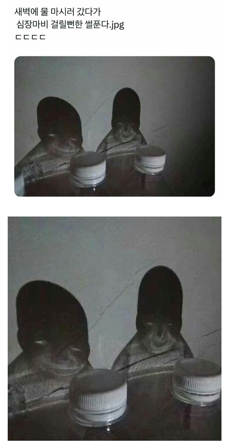 새벽에 물마시러 갔다가 심장마비 걸릴뻔한 썰 | 인스티즈
