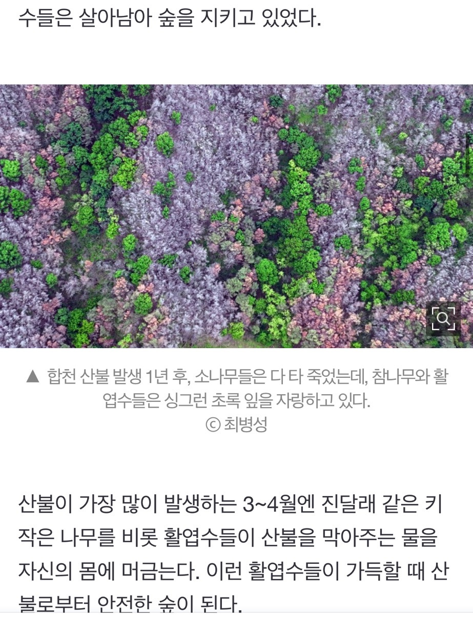 산불 발화지점 가보고 깜짝 놀랐다, 대형산불의 진짜 원인 [최병성 리포트] | 인스티즈