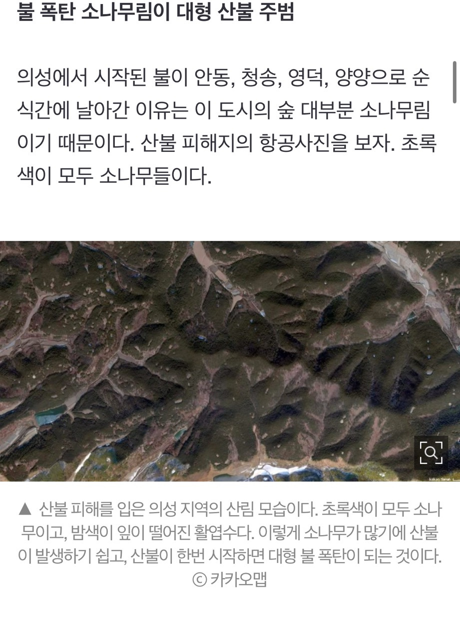 산불 발화지점 가보고 깜짝 놀랐다, 대형산불의 진짜 원인 [최병성 리포트] | 인스티즈