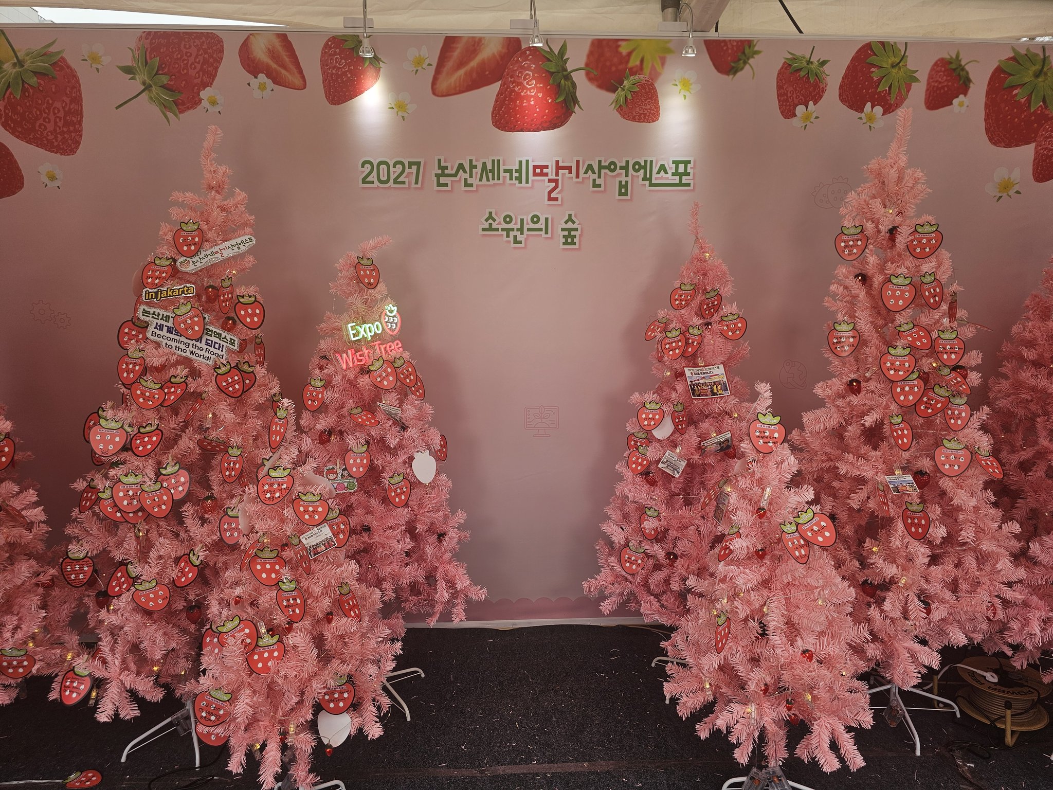 저희 아빠가 이번에 논산 딸기 축제에 부스를 내셨어요 열심히 준비하셨는데 손님이 없다고 속상해 하셔서 ㅠㅠ.twt | 인스티즈