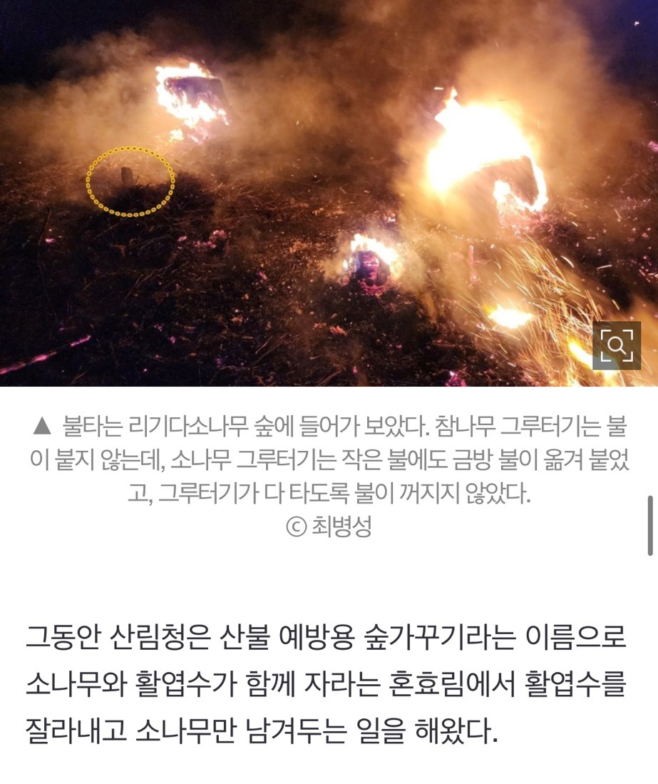 산불 발화지점 가보고 깜짝 놀랐다, 대형산불의 진짜 원인 [최병성 리포트] | 인스티즈