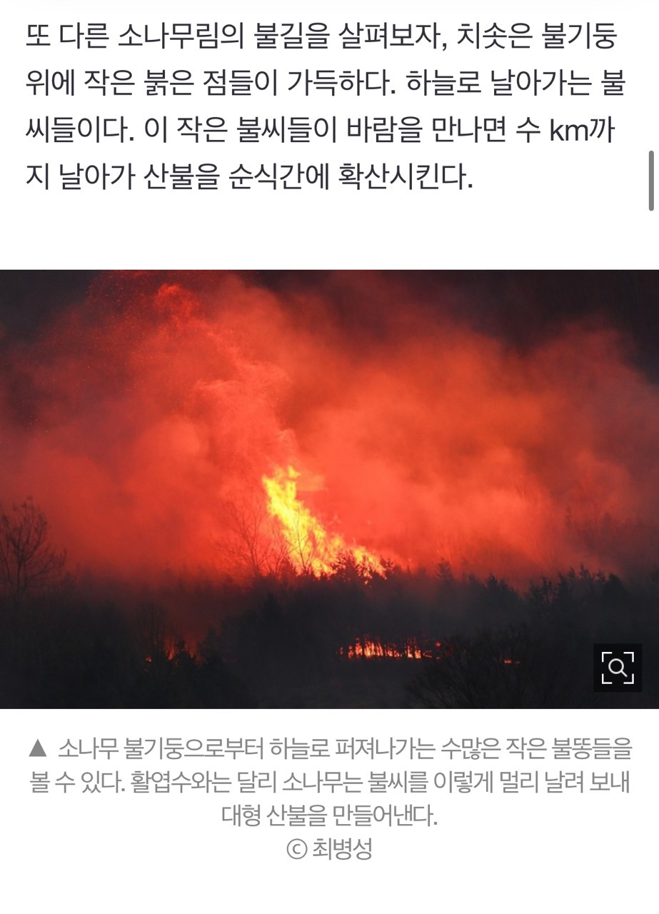 산불 발화지점 가보고 깜짝 놀랐다, 대형산불의 진짜 원인 [최병성 리포트] | 인스티즈