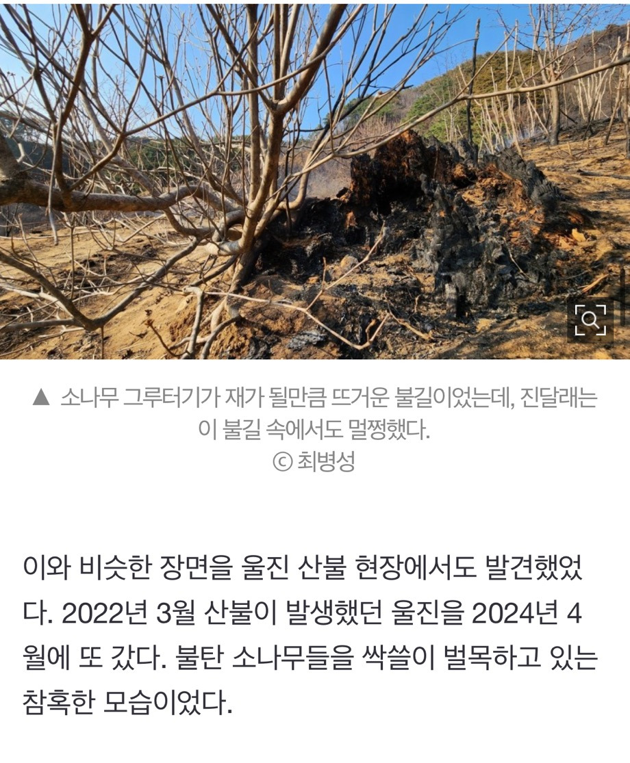 산불 발화지점 가보고 깜짝 놀랐다, 대형산불의 진짜 원인 [최병성 리포트] | 인스티즈