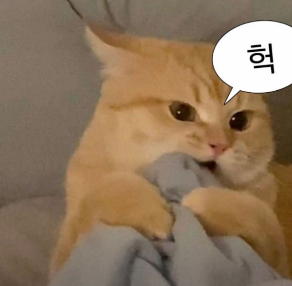 쥐 안잡는 고양이는 둬도 일 안하는 사내 둬서 뭘하나 | 인스티즈