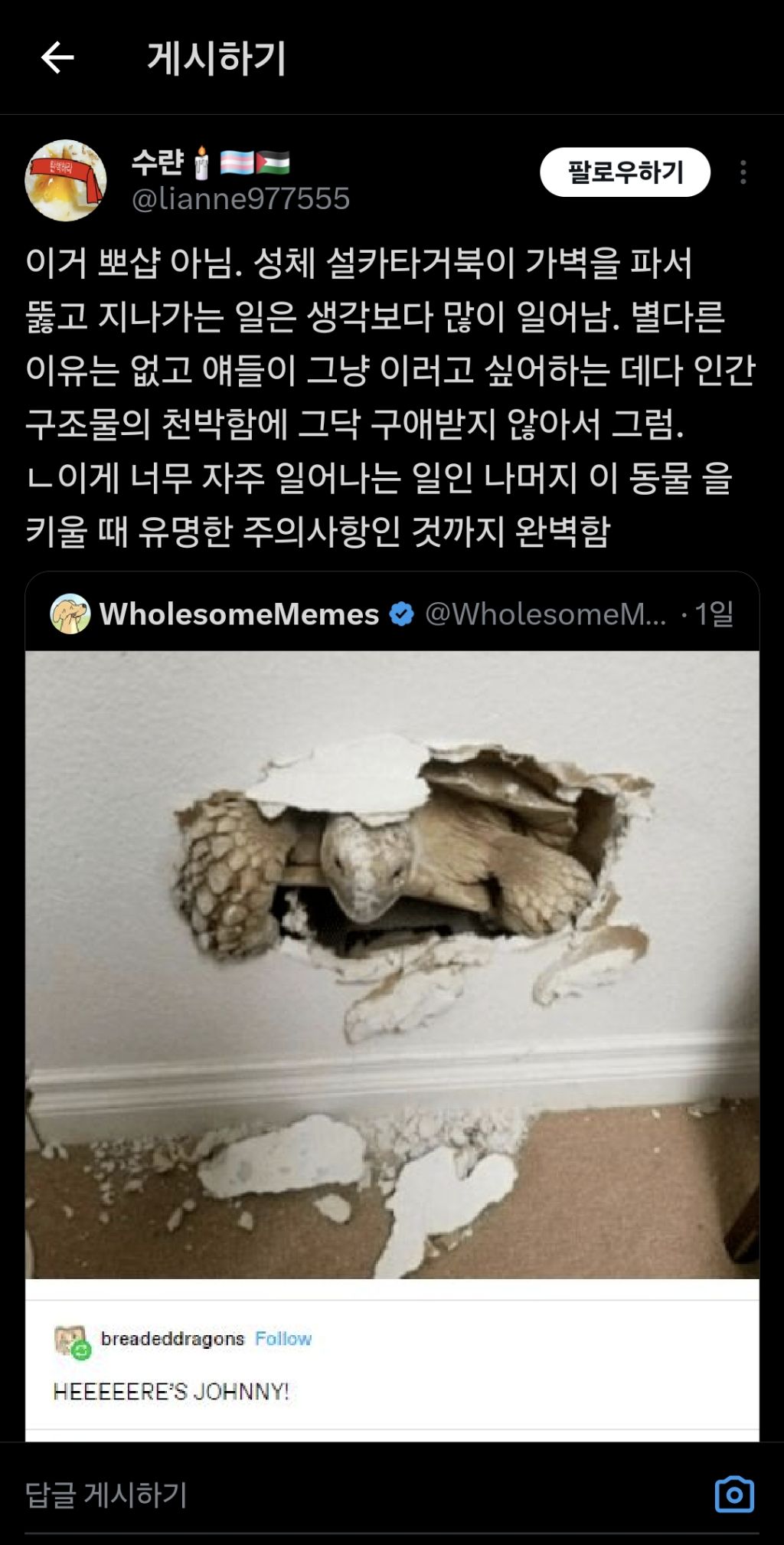 벽을 뚫는 거북 설카타.twt | 인스티즈