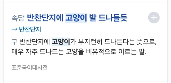 쥐 안잡는 고양이는 둬도 일 안하는 사내 둬서 뭘하나 | 인스티즈