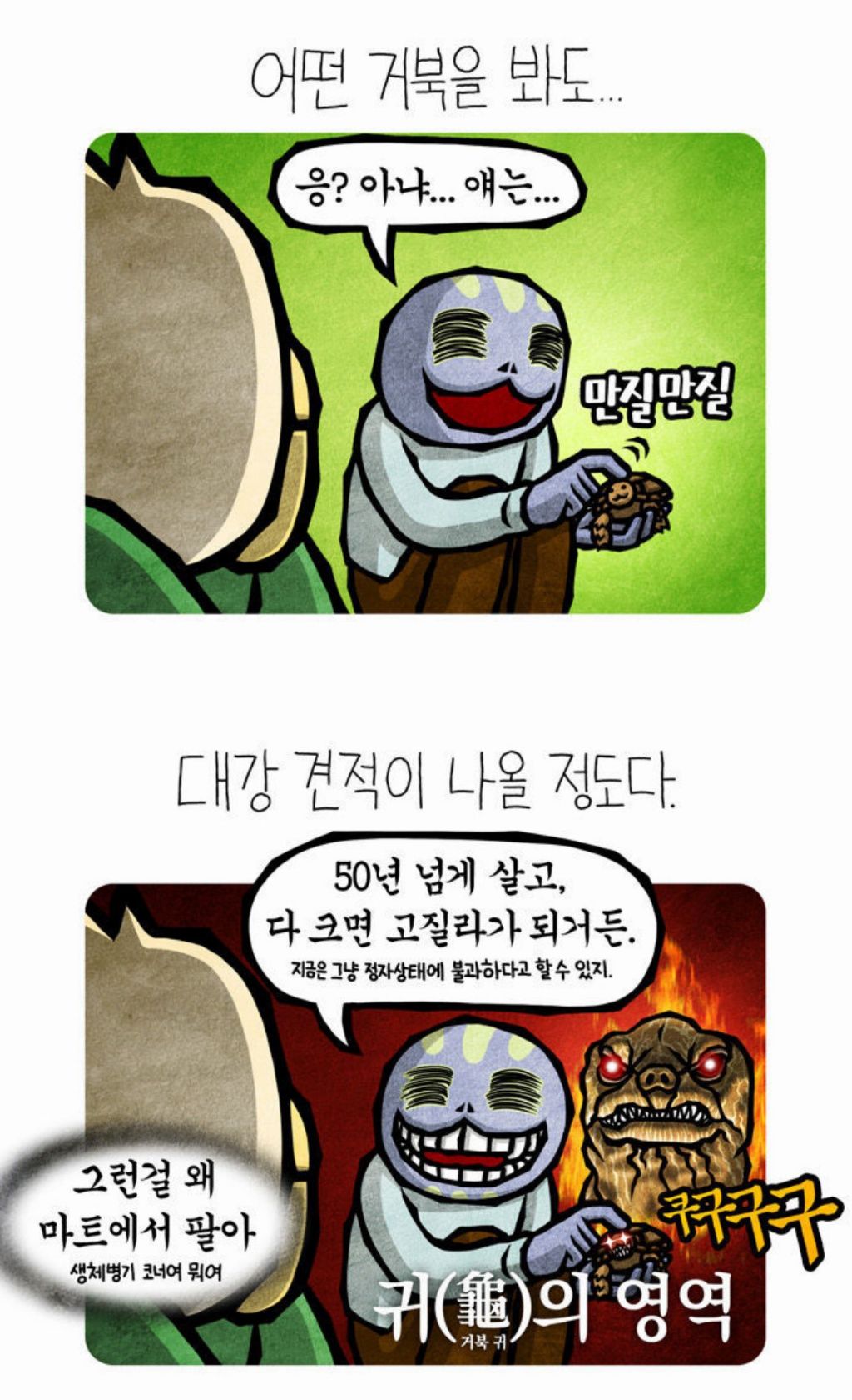 벽을 뚫는 거북 설카타.twt | 인스티즈