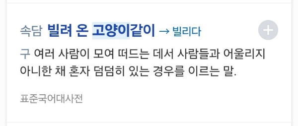 쥐 안잡는 고양이는 둬도 일 안하는 사내 둬서 뭘하나 | 인스티즈