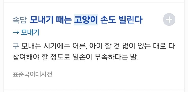 쥐 안잡는 고양이는 둬도 일 안하는 사내 둬서 뭘하나 | 인스티즈
