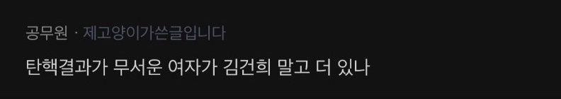 혹시 내일 탄핵결과 무서운 여자 있어? 있으면 연락줘 | 인스티즈