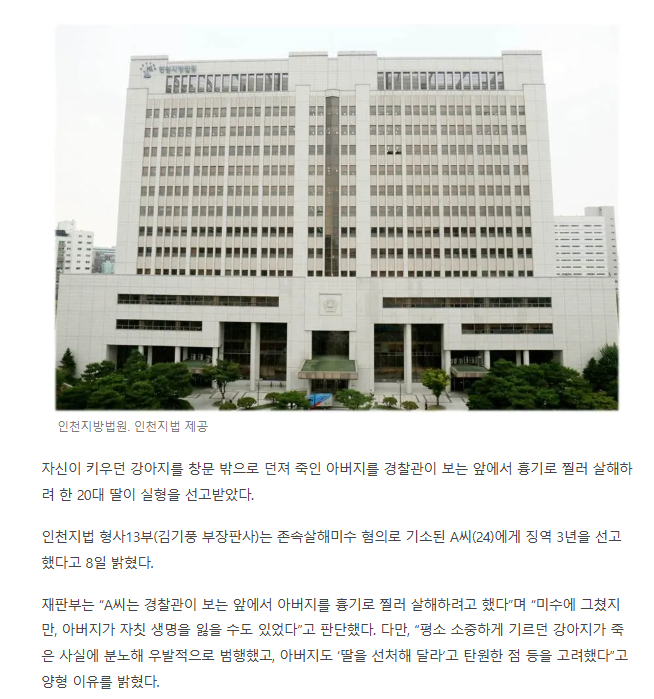  반려견 죽였다”···경찰관 앞에서 아버지 흉기로 살해하려 한 딸2