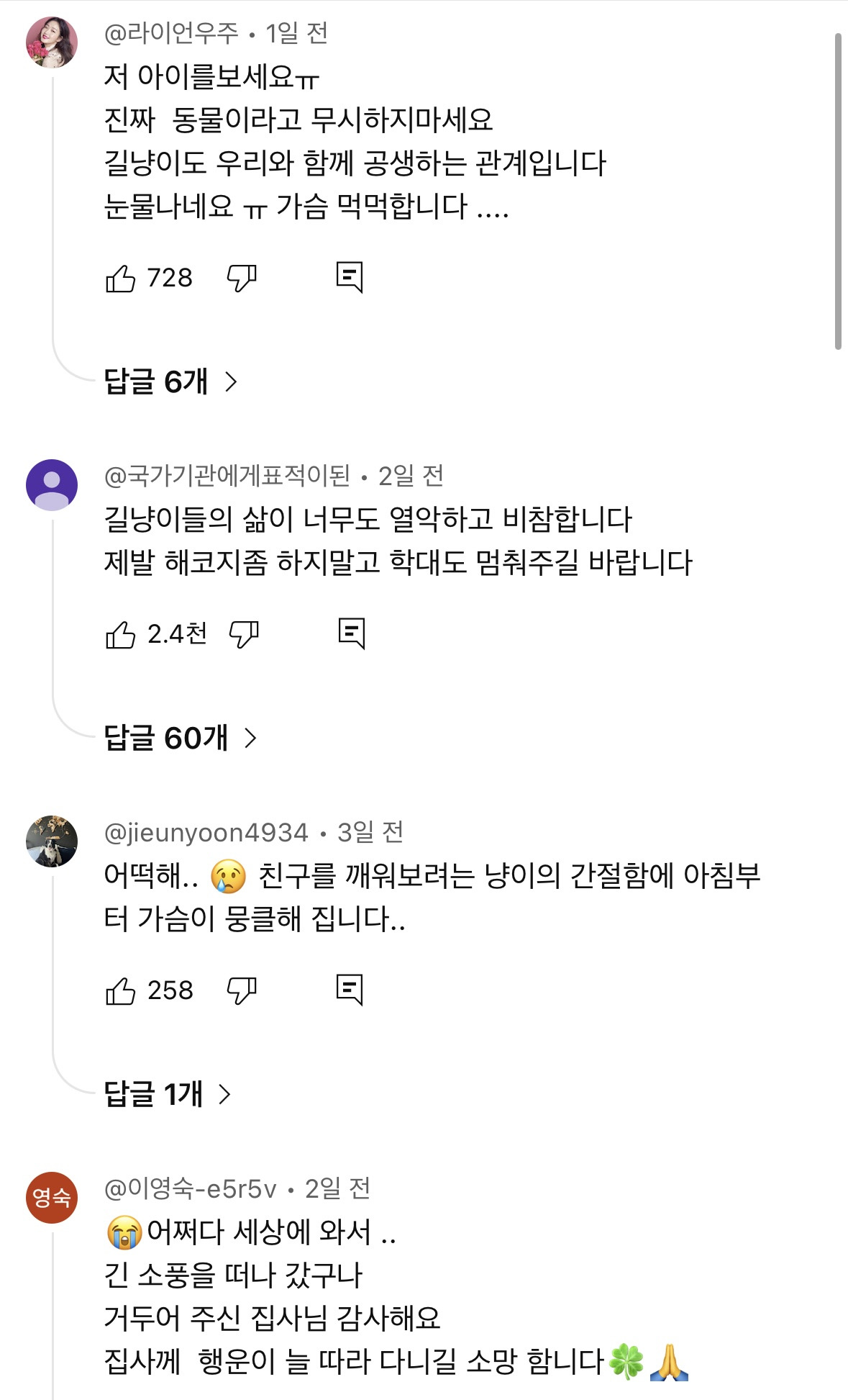 끝까지 친구곁을 지킨 길냥이ㅠㅠ | 인스티즈