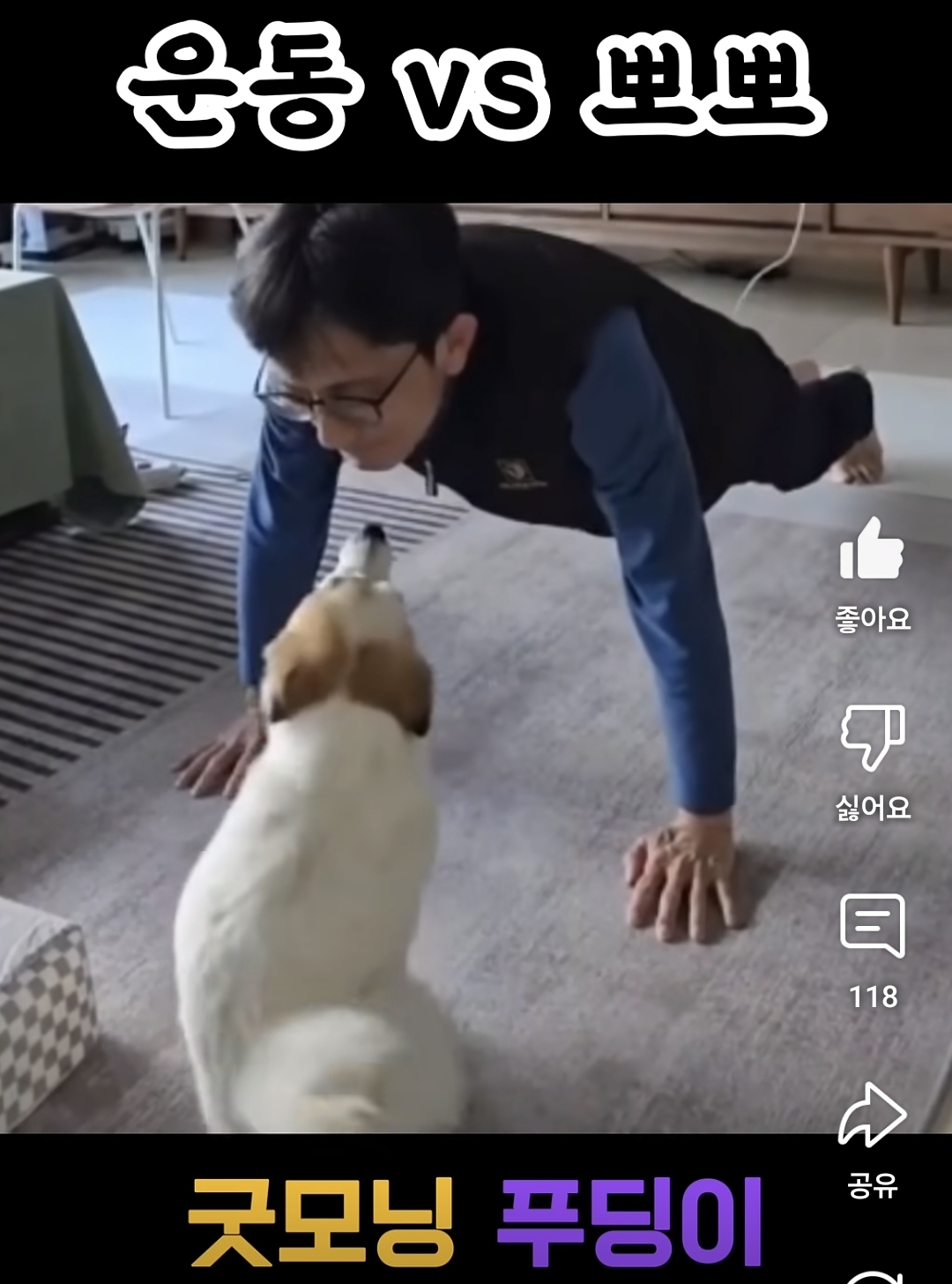  제주항공 참사로 가족 잃은 푸딩이 근황1