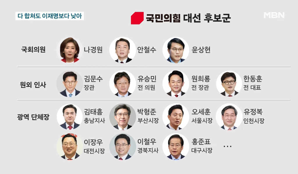  국힘 대선후보 15명이래