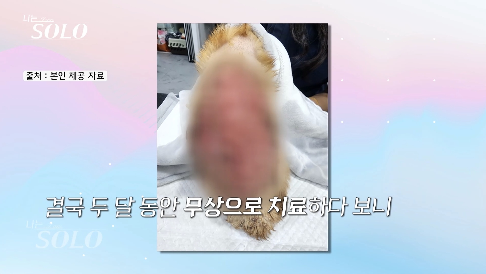 나는솔로 24기 남출연자(수의사)가 입양한 길냥이 뚱진이 | 인스티즈