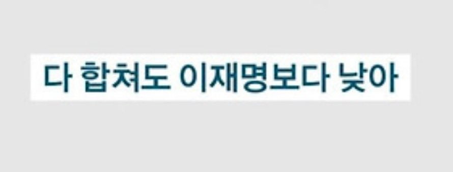 국힘 대선후보 15명이래 | 인스티즈