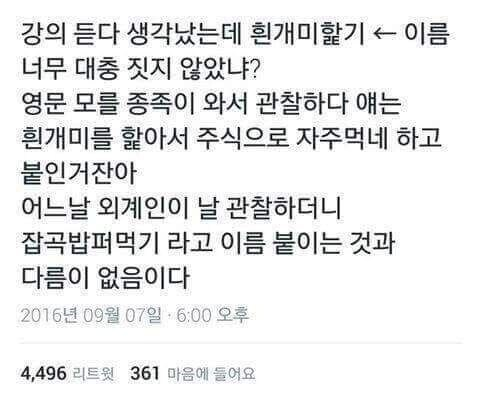 이름 너무 대충지은 동물 | 인스티즈
