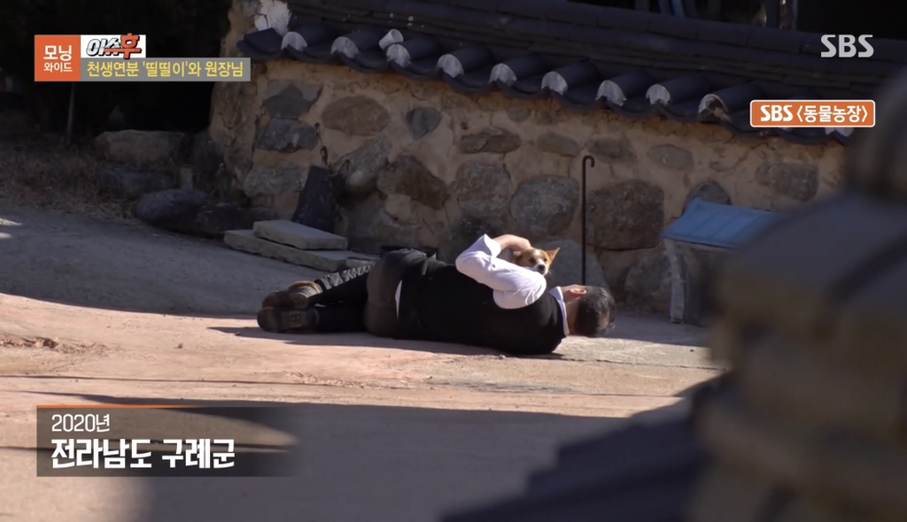  TV 동물농장 출연당시 가출해서 한의원 살린 강아지 &apos;띨띨이&apos; 근황2