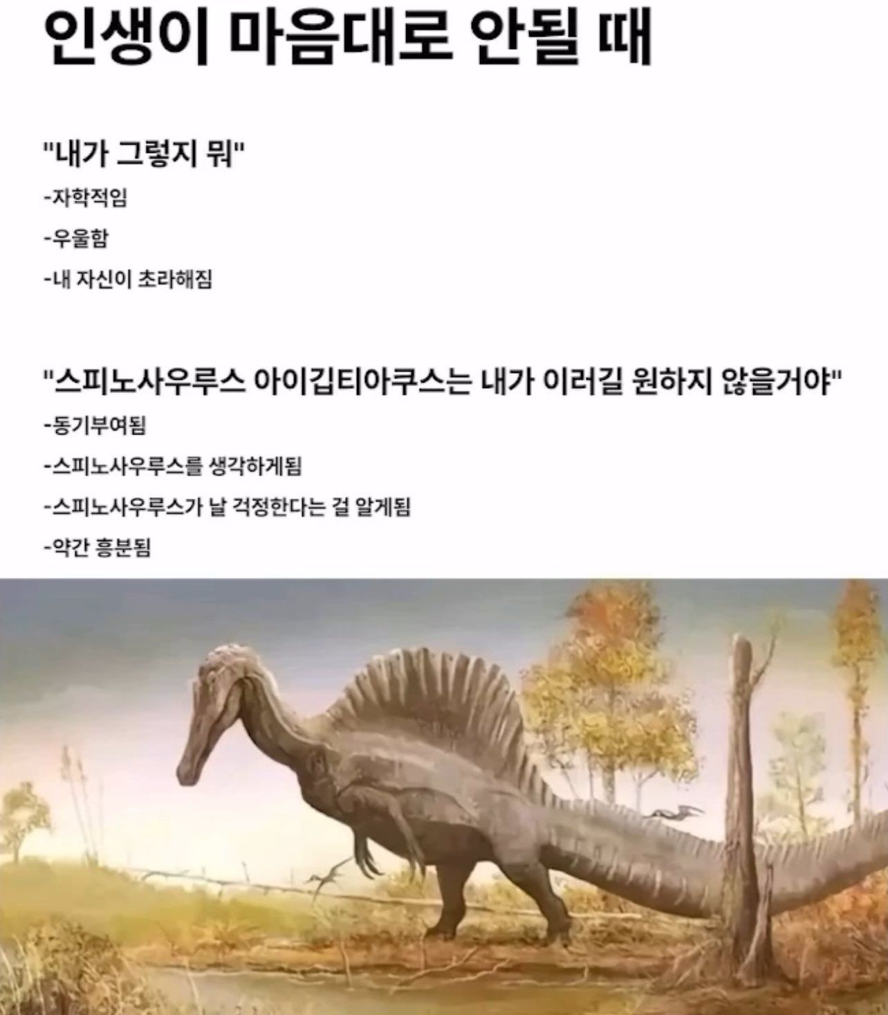  인생이 마음대로 안될 때 동기부여 하는 법1