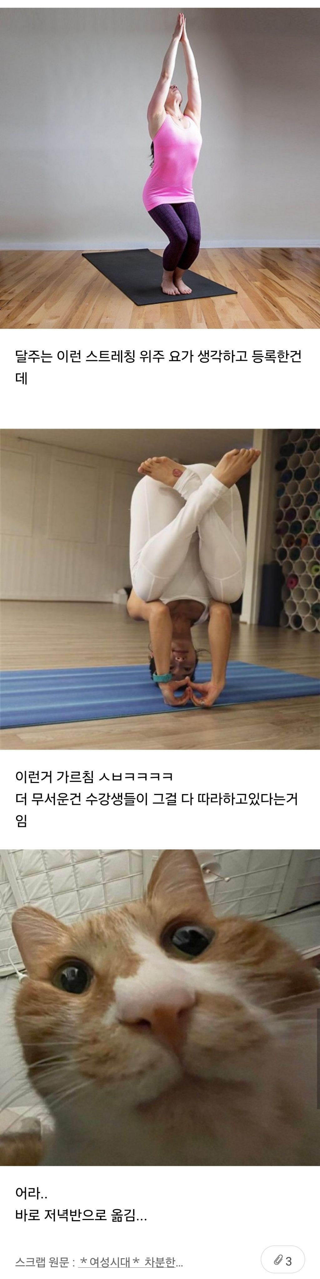  요가 새벽아침반 다니면 안된다고 생각하는 달글..