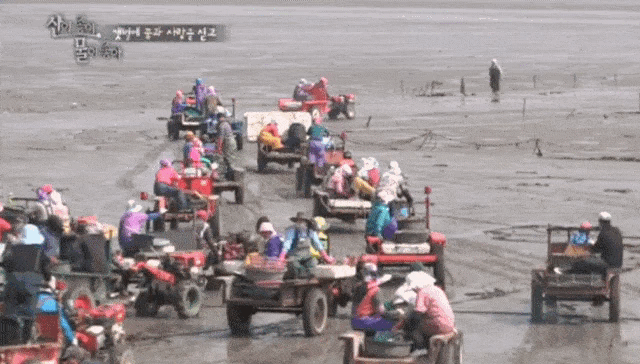 관광공사가 물어버린 머드맥스 영상.gif
