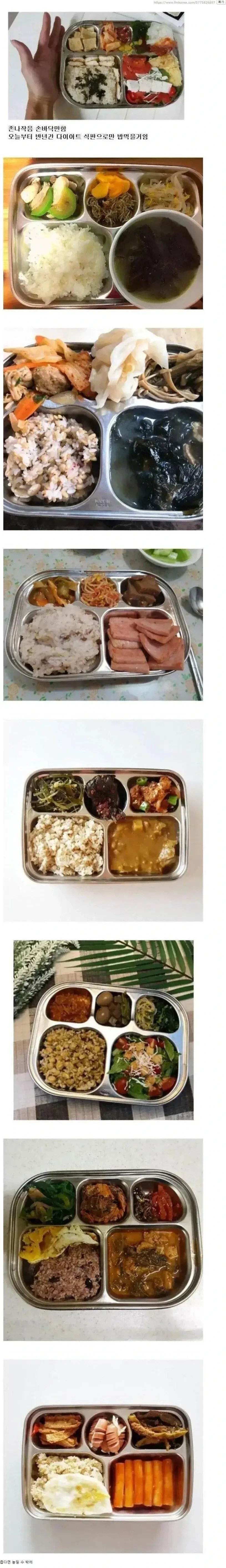 다이어트 식판 후기들.jpg | 인스티즈