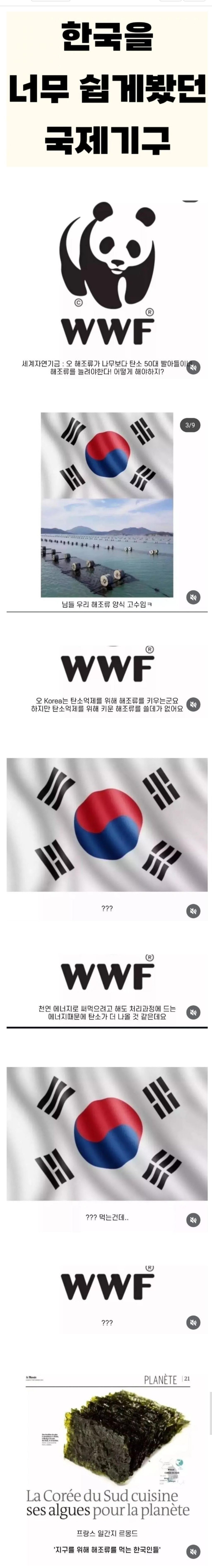  한국을 너무 쉽게봤던 국제기구.jpg2