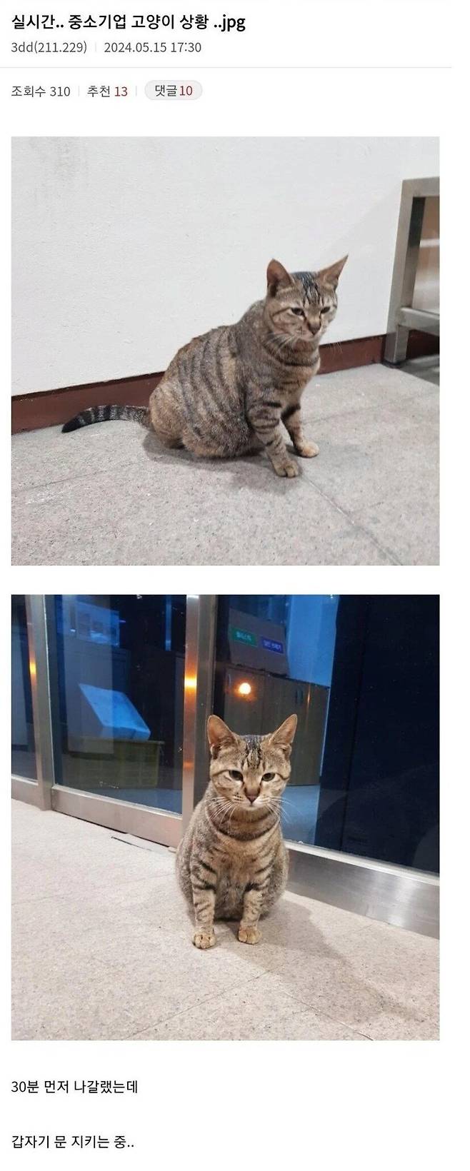 30분 일찍 퇴근하려고 했더니 문 막는 중소기업