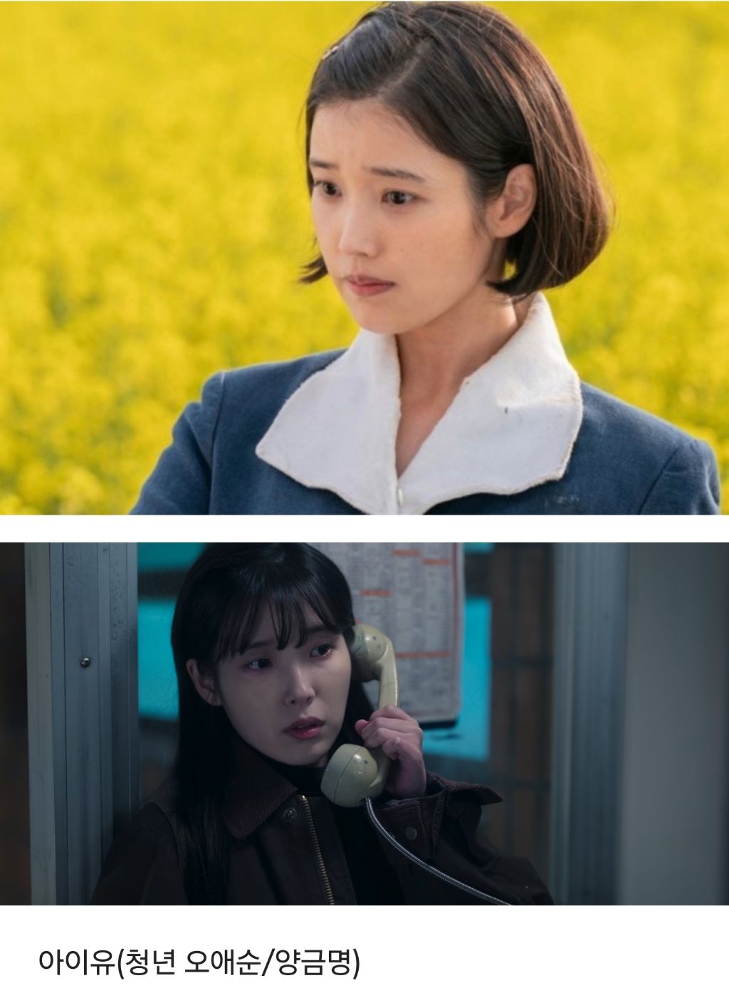  드라마가 전체적으로 연기구멍이 전혀 없었다고 얘기 나오는 &apos;폭싹 속았수다&apos; .jpg..