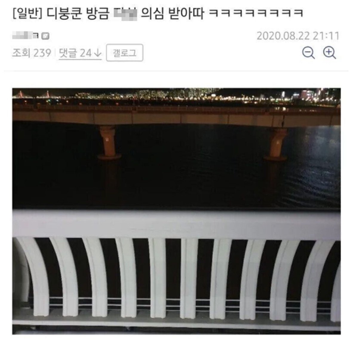  한강다리에서 자살 의심 받은 디씨인